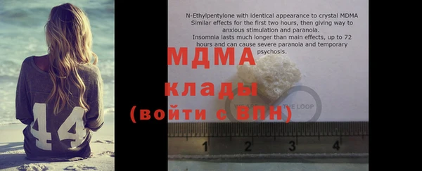 PSILOCYBIN Алзамай