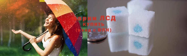 PSILOCYBIN Алзамай