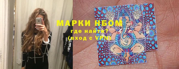 PSILOCYBIN Алзамай