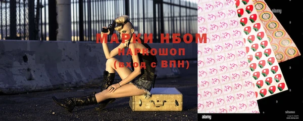 PSILOCYBIN Алзамай
