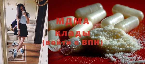 PSILOCYBIN Алзамай