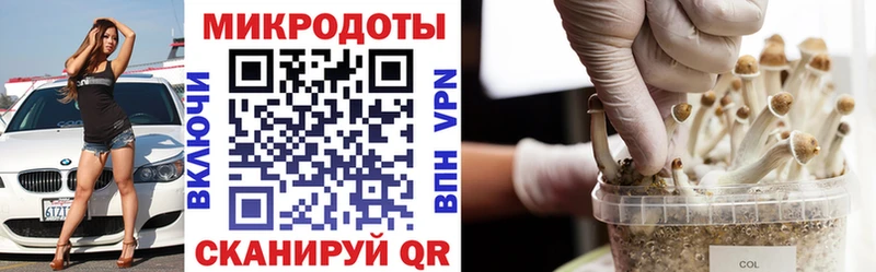 ОМГ ОМГ ссылки  Талица  Псилоцибиновые грибы мухоморы  цена наркотик 